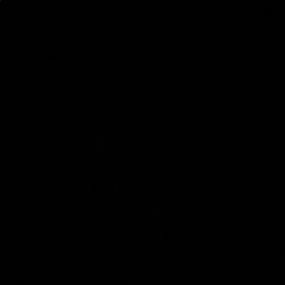 Meet your Posher, Luna - Picture 1 of 1